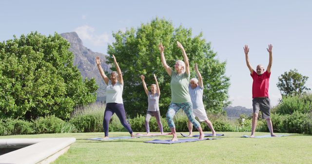 Senior Group Practicing Yoga Outdoors on Sunny Day - Download Free Stock Images Pikwizard.com