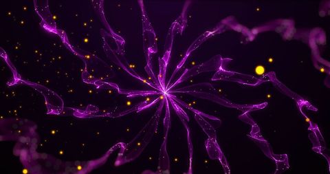 Abstract Golden and Purple Light Trails on Black Background - Download Free Stock Images Pikwizard.com