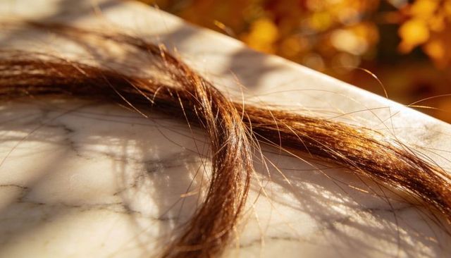 Chestnut hair strands catching warm sunlight on marble surface, autumn closeup