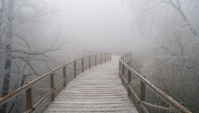 Frosted wooden boardwalk winding through foggy winter forest with rope handrails and misty atmospher