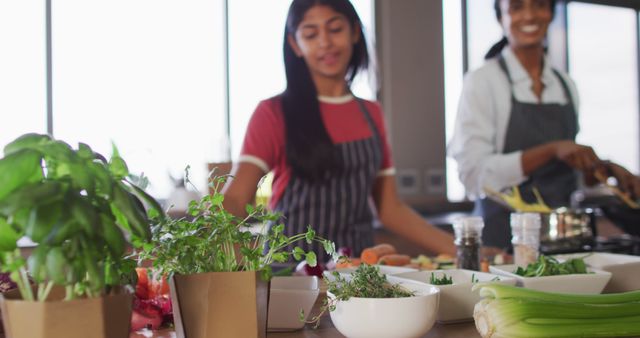 Two Women Cooking in Modern Kitchen with Fresh Herbs and Vegetables - Download Free Stock Images Pikwizard.com