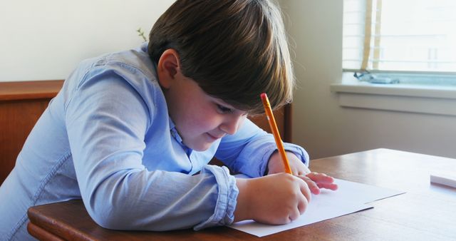 Young Boy Concentrating While Writing in Daylit Room - Download Free Stock Images Pikwizard.com