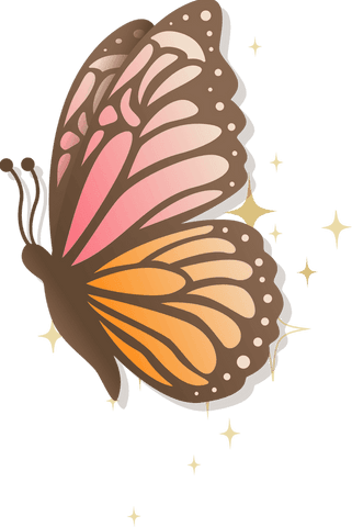 whimsical butterfly with gold stars on transparent background - Download Free Stock Videos Pikwizard.com