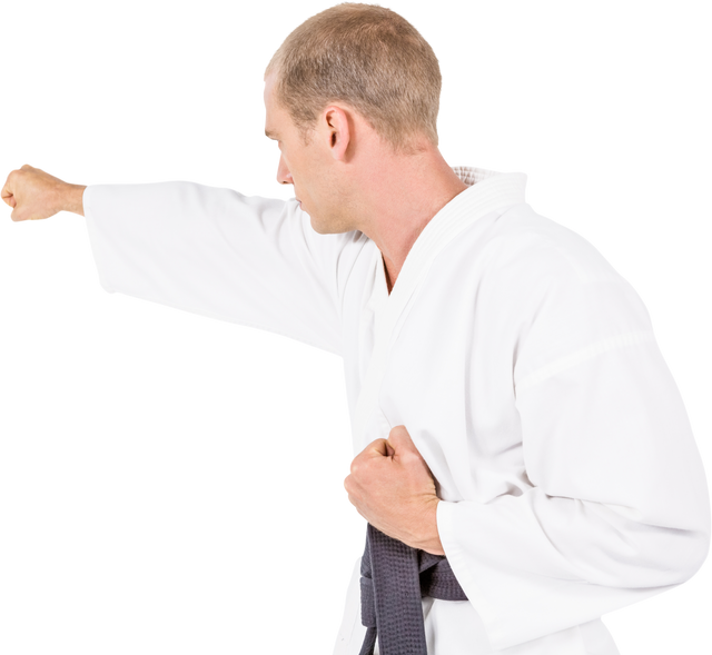 Karate Fighter in Transparent Karate Stance with White Gi - Download Free Stock Videos Pikwizard.com