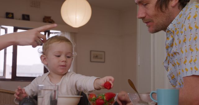 Parent and toddler eating breakfast together at home. Parent pointing while toddler reaching for strawberries. Great for depicting family relationships, morning routines, parenting and family meals. Useful for family-focused marketing, parenting blogs, and lifestyle articles.