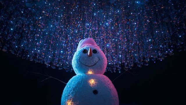 Illuminated snowman art display with led lights