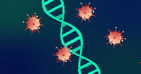 Coronavirus and DNA Strand Animation Highlighting Pandemic