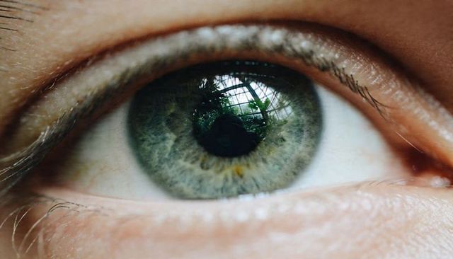 Macro extreme closeup green eye reflecting greenhouse interior and photographer, detailed iris textu