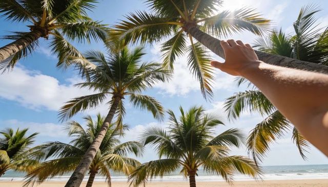 Reaching hand toward palm frond on tropical beach with sunlight and sandy shoreline
