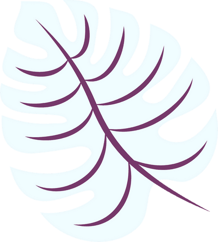 Pale Cyan Monstera Leaf with Purple Veins on Transparent Background - Download Free Stock Videos Pikwizard.com