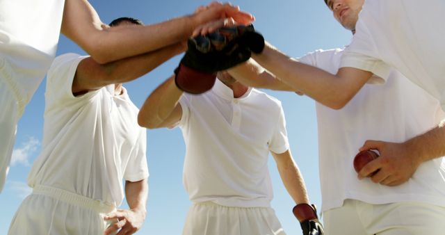 Team of Cricketers Engaging in a Motivational Huddle - Download Free Stock Images Pikwizard.com