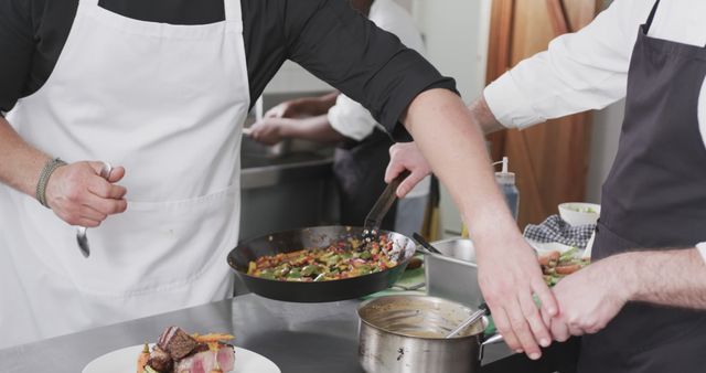 Chefs Preparing Gourmet Dishes in a Professional Kitchen - Download Free Stock Images Pikwizard.com