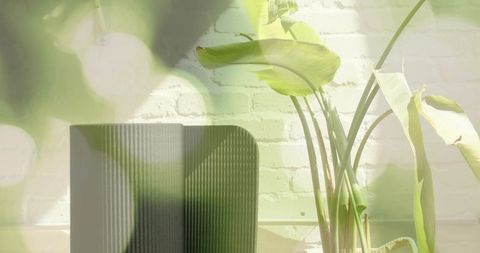 Sunlit broad-leaf plant basking in woven basket with ribbed modern decor and bokeh