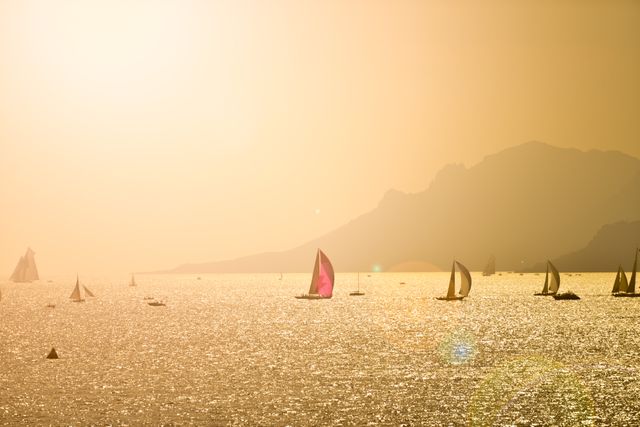 This image depicts multiple sailboats floating on a glittering ocean during a serene sunrise. The golden hues of dawn create a tranquil atmosphere with shimmering water and distant mountains, perfect for illustrating themes of serenity, travel, or maritime activities. Ideal for use in travel marketing, nautical adventure promotions, or tranquil landscape projects.