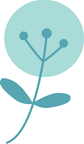 Transparent minimalist botanical illustration with bloom and buds