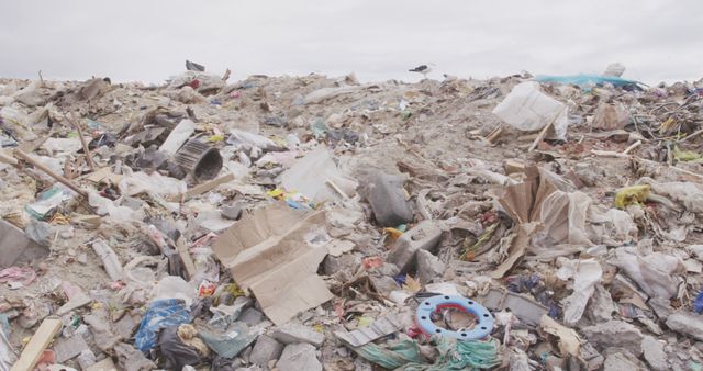 General view of landfill with piles of litter and seagulls - Download Free Stock Photos Pikwizard.com