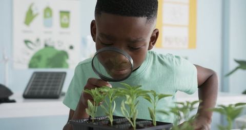 Young student inspecting seedlings with magnifying glass in classroom science activity