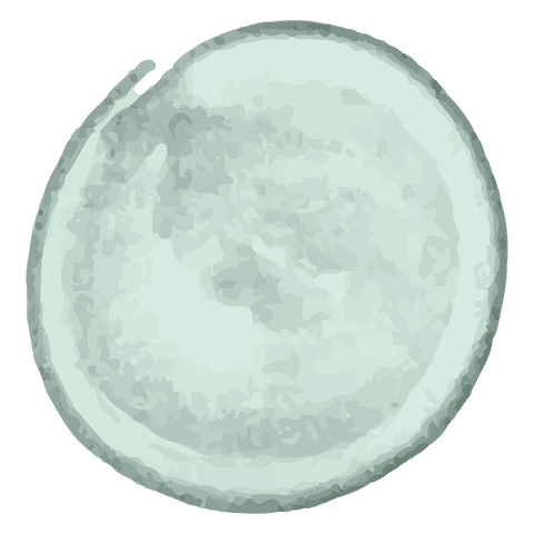 Abstract Transparent Green Circular Shape on Isolated Background - Download Free Stock Videos Pikwizard.com