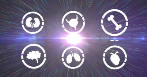 Digital Overview of Human Body Systems with White Icons