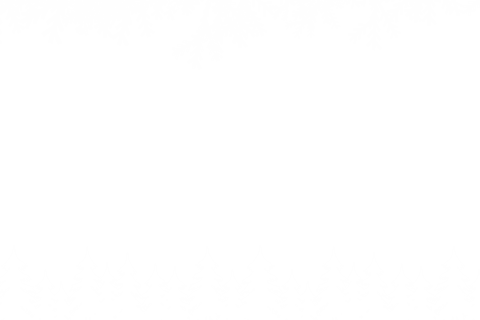 fir tree branches on transparent snowy background - Download Free Stock Videos Pikwizard.com