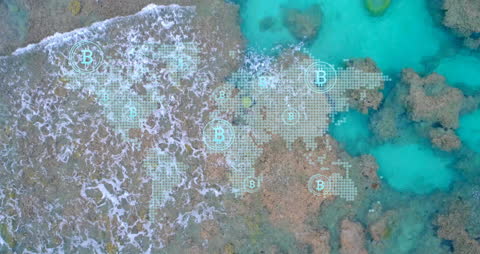 Digital Currency Symbols Overlay Seashore Landscape Creating Global Finance Concept