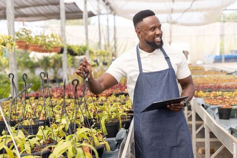 Nursery worker inspecting hanging planters holding clipboard wearing denim apron in greenhouse