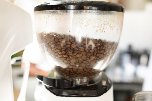 Close-up view of roasted coffee beans in a transparent container on a coffee maker in a kitchen or cafe. Ideal for use in articles or advertisements related to coffee culture, cafe equipment, barista training, and morning routines.