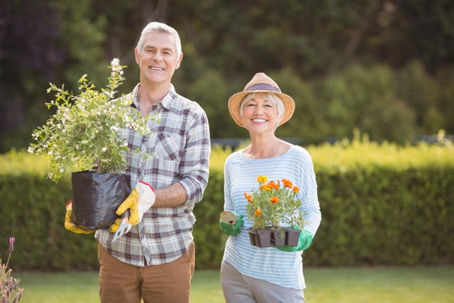 Senior couple enjoying gardening together in their backyard. They are holding plants and flowers, wearing gloves and casual clothing. This image can be used for promoting healthy lifestyles, retirement activities, gardening hobbies, and outdoor family activities.