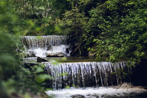 Tranquil forest waterfall surrounded by lush greenery