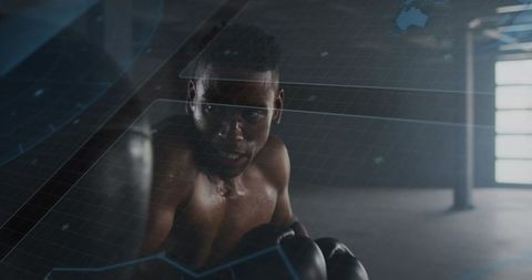 Boxer Training with Holographic Grid in Modern Gym