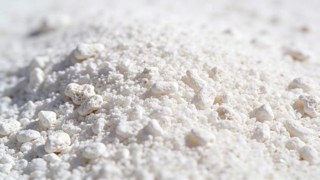 Sunlit crushed white coral texture close-up showing porous granules, tiny shell fragments and sparkl
