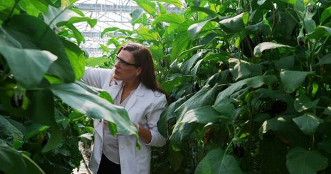 Female Scientist Examining Plants in Greenhouse