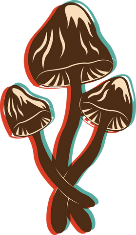 Vibrant pop-art hand drawn mushroom illustration on transparent background