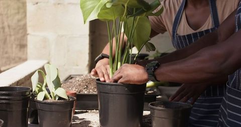 Friends Planting Together: Community Gardening on Sunny Patio