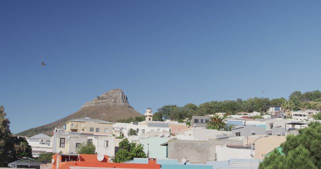 Scenic View of Colorful Houses and Lion's Head Mountain in Cape Town - Download Free Stock Images Pikwizard.com