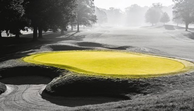 Morning mist framing kidney-shaped putting green glowing yellow on parkland golf course