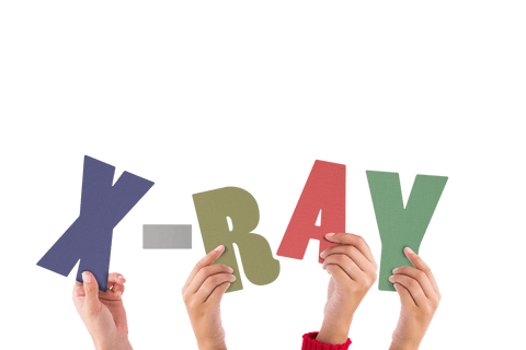Hands holding x-ray text sign on transparent background