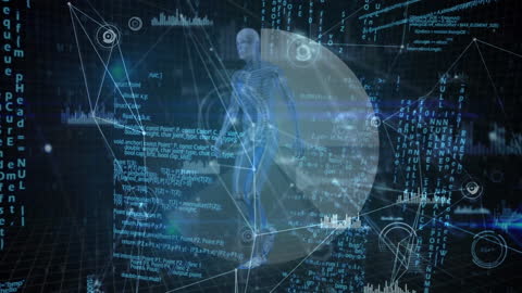 Digital Network Connections with Globe Visualization