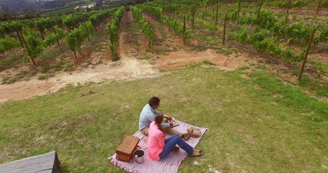 Romantic Picnic Amid Vineyard Splendor with Couple Relaxing