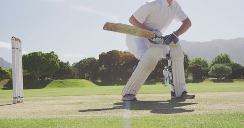 Cricketer Batting on Sunny Day at Professional Field - Download Free Stock Images Pikwizard.com