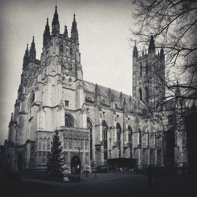 Historic Gothic Cathedral with Christmas Tree in Foreground - Download Free Stock Photos Pikwizard.com