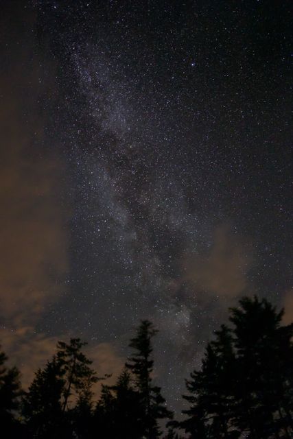 Image shows Milky Way galaxy with dense star concentration over dark forest with silhouetted trees. Perfect for use in astronomy articles, space-themed projects, nature blogs, educational material about the cosmos, and serene background imagery.