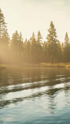 Gliding vertical footage over misty lake ripples with sunlit pine forest reflecting light