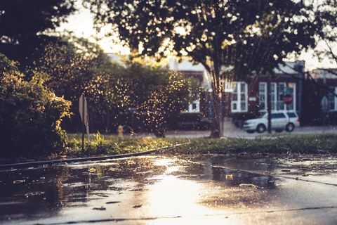 Water Spraying on Suburban Sidewalk at Golden Hour