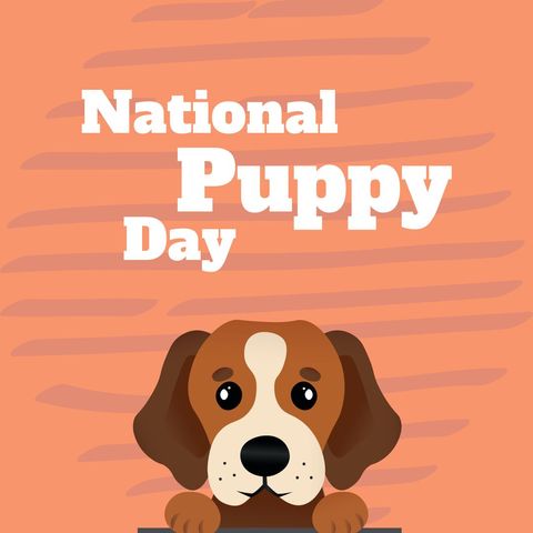 celebrating national puppy day with adorable cartoon graphic - Download Free Stock Templates Pikwizard.com
