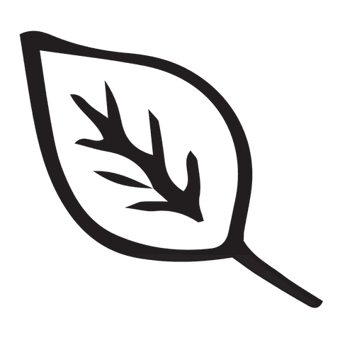 Transparent Leaf Black Illustration on Clear Background - Download Free Stock Videos Pikwizard.com