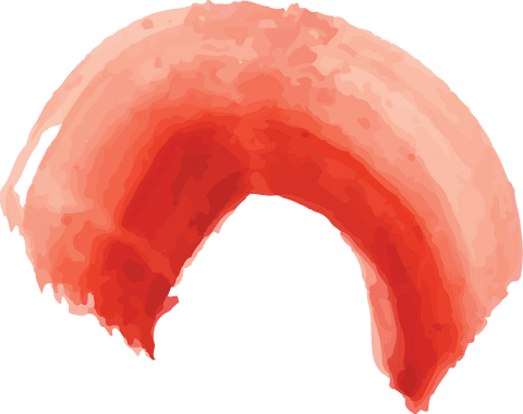 Transparent Watercolor Abstract Pink Arc Motif Creating Elegant Sweeping Design - Download Free Stock Videos Pikwizard.com