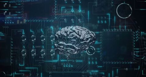 Digital Brain Converges with Circuitry in Technology Concept - Download Free Stock Images Pikwizard.com