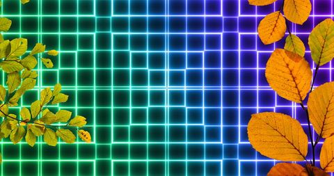 Colorful Leaves on Neon Grid Background - Download Free Stock Images Pikwizard.com