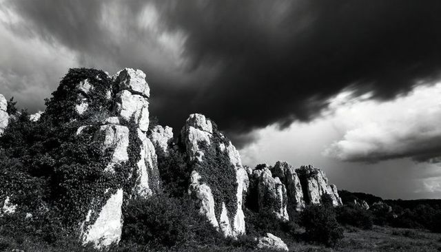 Dramatic limestone crags and creeping vines under storm clouds in black and white landscape